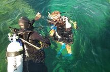 Diving baptism with cylinders (Introdive) at the Capo Carbonara Marine Protected Area