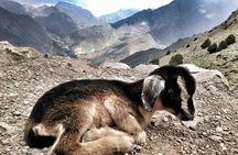 3-Day Authentic Berber Villages Tour