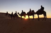 Desert Tour from Casablanca 8 Days Morocco Exploration