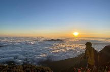 One Day Conquering Fansipan - The Roof Of Indochia