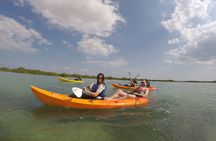 Mangrove Kayaking Purple Island Adventure