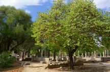 Olympia Tour & Archeological Museum - All Included