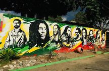 Bob Marley Private Tour from Montego Bay 