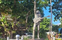 Bob Marley Private Tour from Montego Bay 