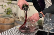 Mendoza: Make an Argentine Asado BBQ w/ Local Host & Wine Tasting