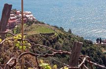 Cinque terre wine tour and tasting with the somelier in Manarola