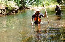 Private Jungle Waterfall Adventure, Wit Da Native Hawaiian Dundee