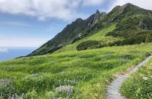 Private Guided Hike in Sitka, Alaska