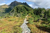 Private Guided Hike in Sitka, Alaska