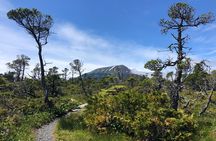 Private Guided Hike in Sitka, Alaska