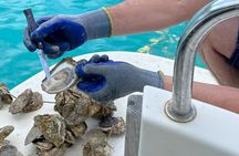 Ston Seafood & Pelješa Wine Boat Tour with Oysters and Mussels
