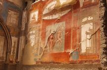 Half Day Excursion to Herculaneum from Naples with Lunch