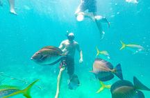 Snorkel Lovers for All Ages & Premium Seafood Lunch in Punta Cana