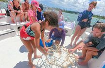Snorkel Lovers for All Ages & Premium Seafood Lunch in Punta Cana