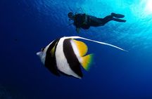 Double Diving Adventure Exploration for Certified Divers