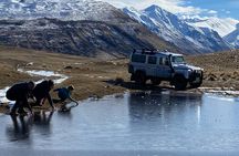 Lake Tekapo Scenic Wilderness Cass Valley Tour