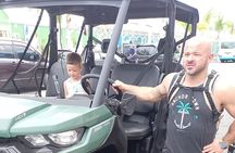 3 Hour Guided Beach buggy sightseeing city tour. (Free samples).