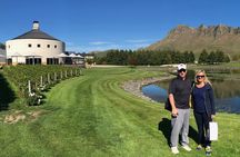 Fine Wine Tour in Napier, New Zealand