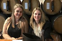 Fine Wine Tour in Napier, New Zealand