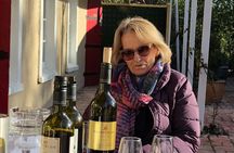 Fine Wine Tour in Napier, New Zealand