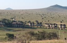 3 Days Safari Taita Hills-Saltlick lodge + Amboseli park
