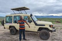 3 Days Safari Taita Hills-Saltlick lodge + Amboseli park