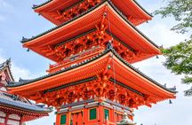 Tailored Full Day Private Experience of Kyoto for 1 Day Visitors