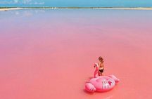 Las Coloradas and Rio Lagartos Tour with All Inclusive