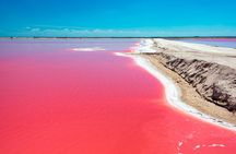 Las Coloradas and Rio Lagartos Tour with All Inclusive
