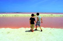 Las Coloradas and Rio Lagartos Tour with All Inclusive