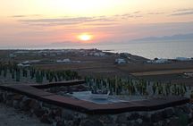 Santorini: Private Agri-Educational Visit to an Organic Farm 