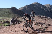 Private Mountain Bike Day Trip from Marrakech to Atlas Mountains