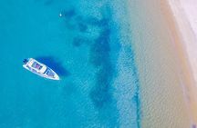 Private 2-Hour Sydney Harbour Morning Cruise inc Beach Stop