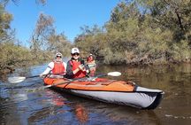 Perth Kayak Tour - Canning River Wetlands 