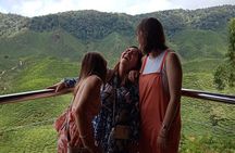 Full Day Cameron Highlands Nature Tour