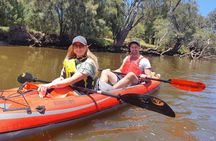 Mandoon Winery and Kayak Tour with wine tasting