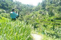 Best Of Ubud Waterfall Swing Private Guided Tour