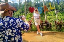 Best Of Ubud Waterfall Swing Private Guided Tour