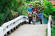 Private Mekong Delta & My Tho Full-Day Guided Tour
