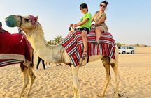 Best Dubai Desert Safari with Buffet Dinner,Sand Boarding & Shows