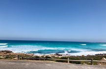  Private Tour to the Penguins and Cape Point, Cape Town