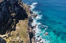  Private Tour to the Penguins and Cape Point, Cape Town