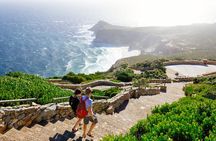 Full Day Cape Peninsula Tour