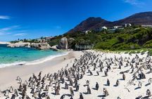 Full Day Cape Peninsula Tour