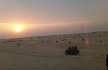 Evening Desert Safari Tour With Live Enterterment And BBQ Dinner