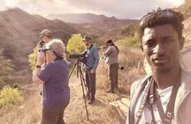 Bird Observation in Cape Verde 