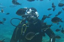 Dive The Rock (Scuba Diving Experience in Protaras)