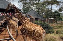 Private Nairobi Day Tour. NN Park, Giraffe Center, Bomas of Kenya