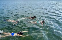 3 Hours Snorkeling Excursion in South Padre Island