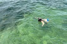 3 Hours Snorkeling Excursion in South Padre Island